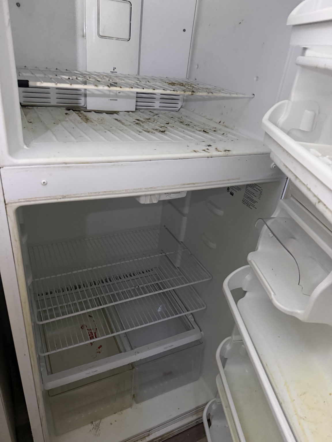 Dirty refrigerator before cleaning